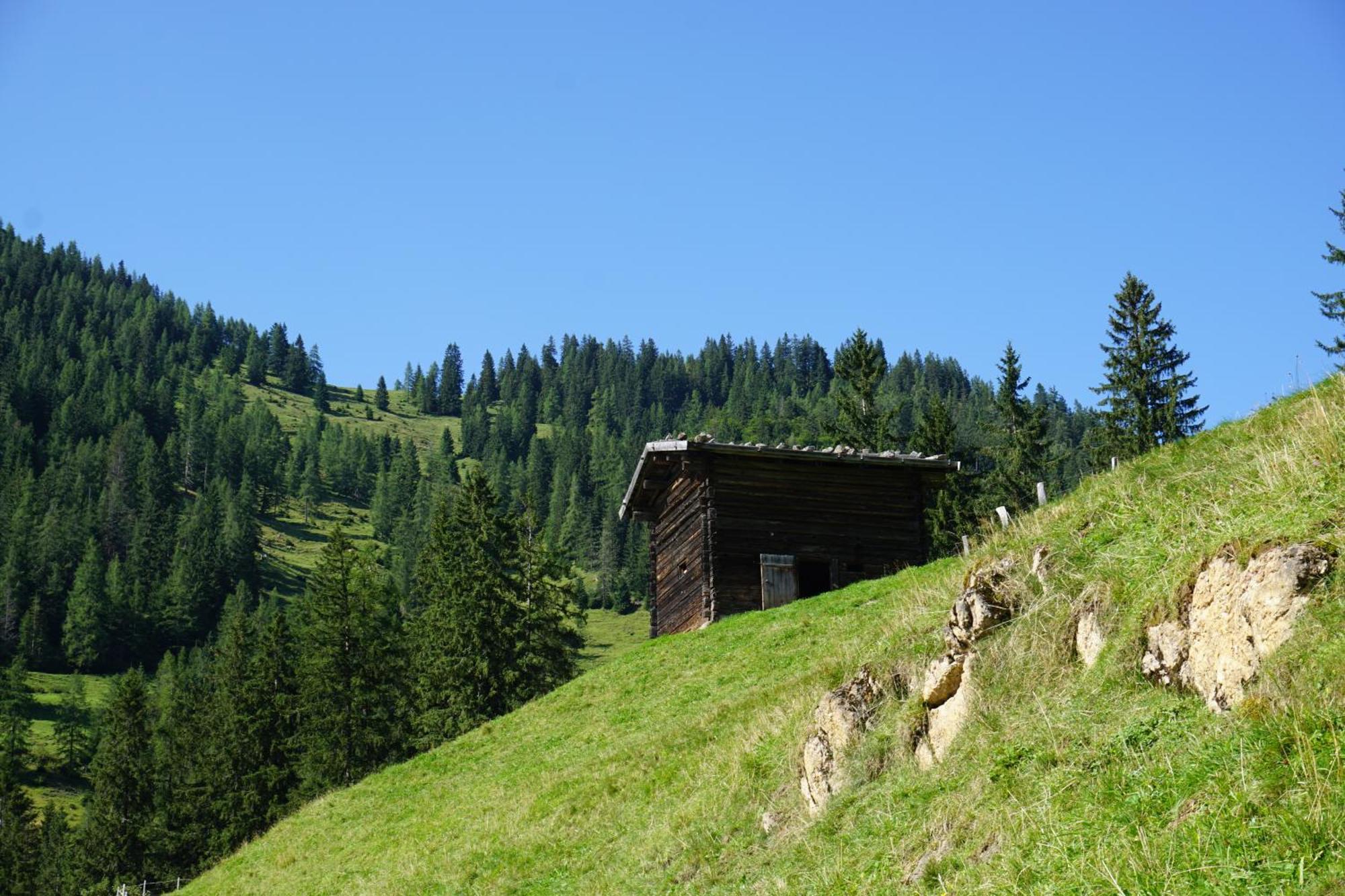 Studio Schwarzenauer Apartment Alpbach Exterior photo